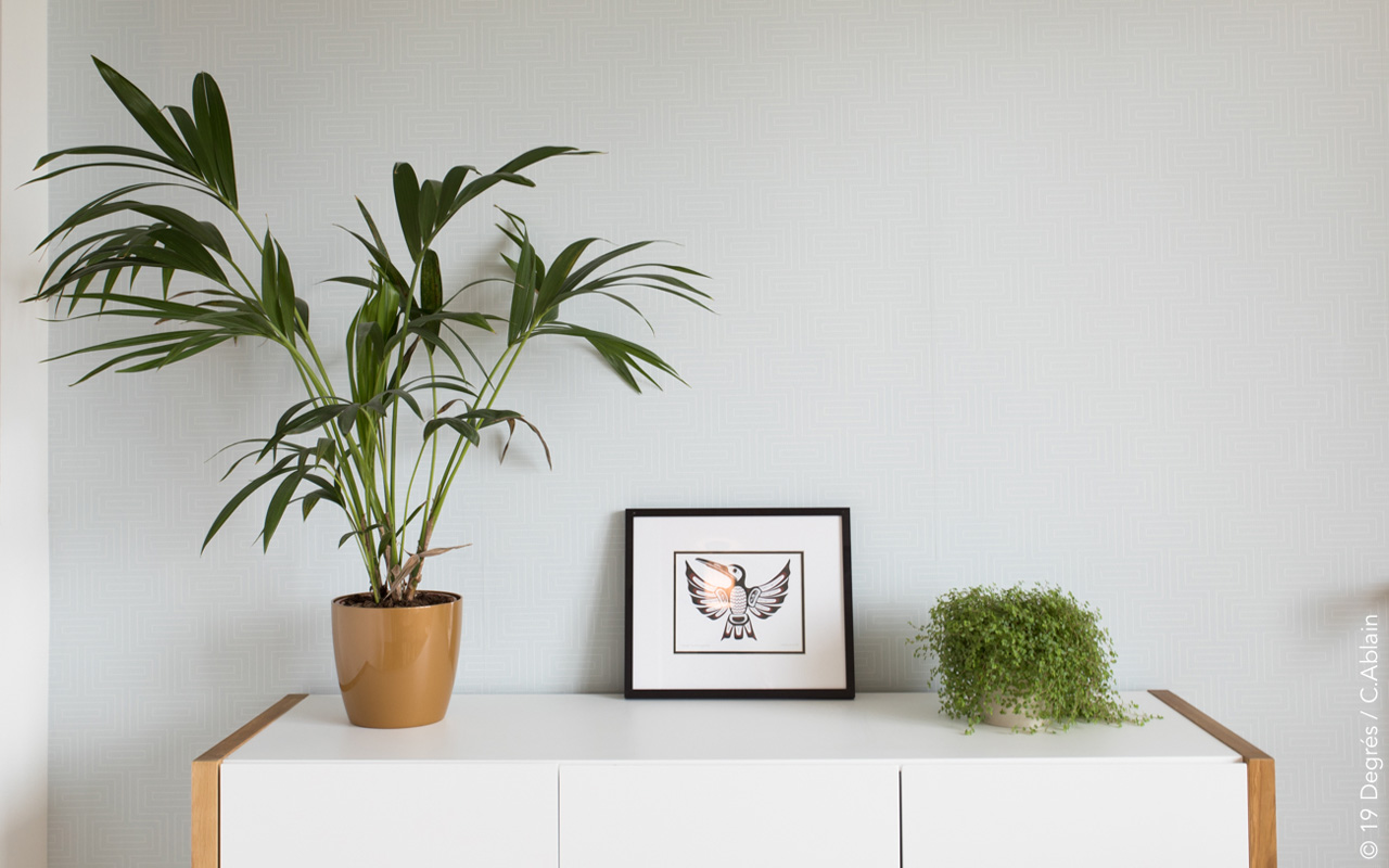 Meuble blanc avec des plantes et un cadre décoratif d'un oiseau.