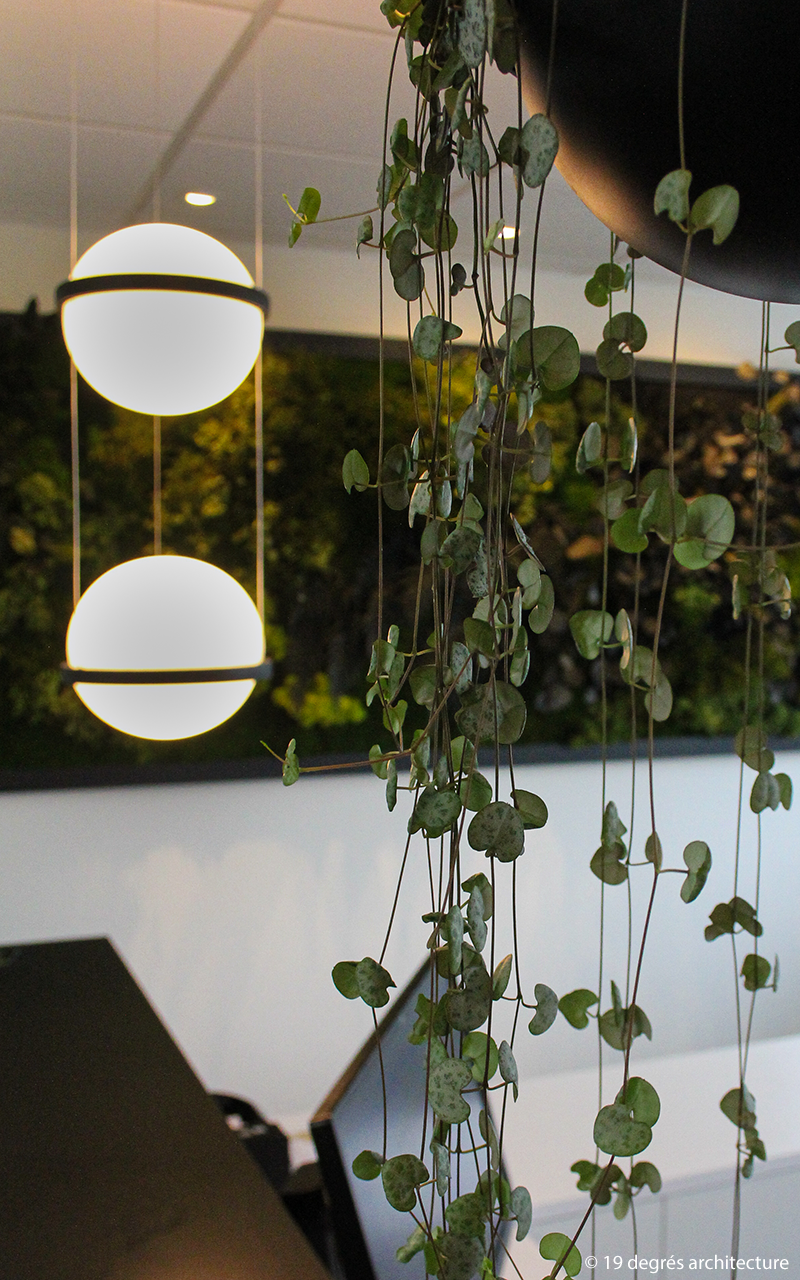 Focus sur la végétation et sur les luminaires suspendus au plafond.